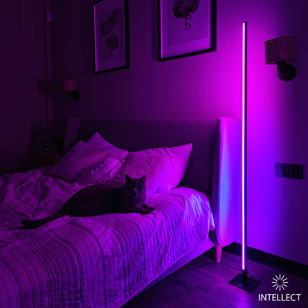 INTELLECT Light Square Large