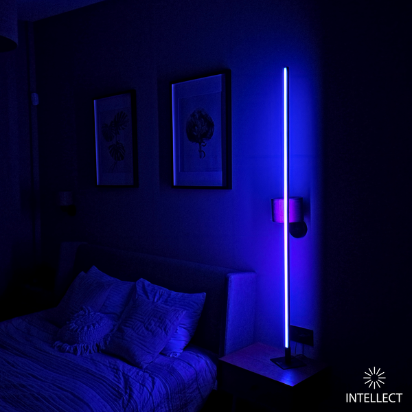 INTELLECT Light Square Large