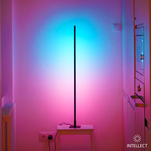 INTELLECT Light Square Middle
