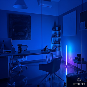 INTELLECT Light Square Middle