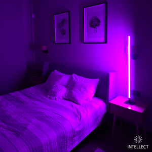 INTELLECT Light Square Middle